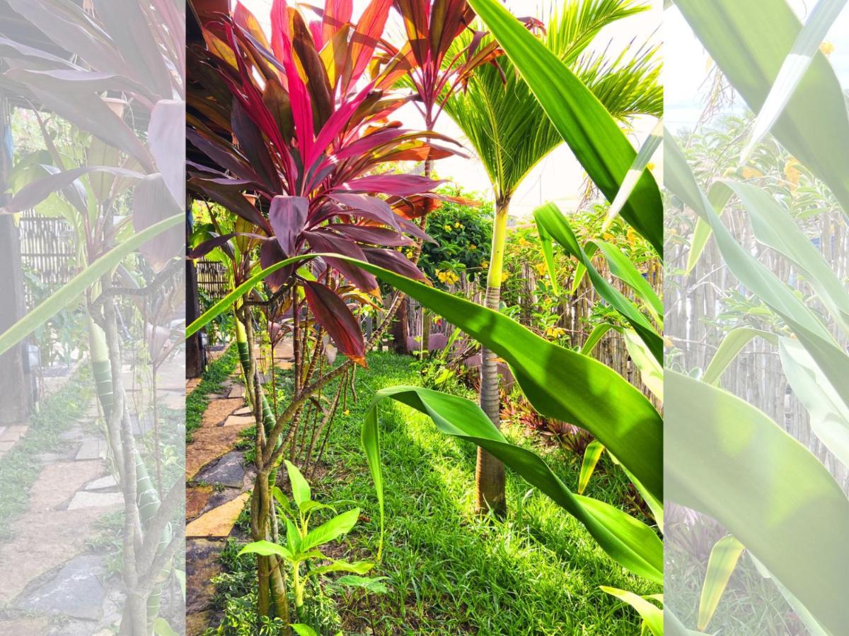Pousada Ricatins Luaran gambar
